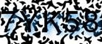 grafischer Sicherheitscode