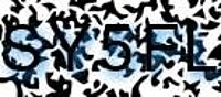 grafischer Sicherheitscode