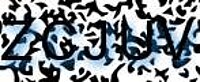 grafischer Sicherheitscode