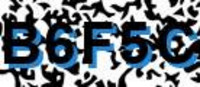 grafischer Sicherheitscode