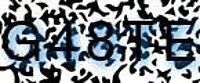grafischer Sicherheitscode