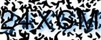 grafischer Sicherheitscode
