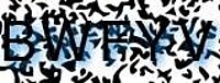 grafischer Sicherheitscode