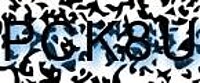 grafischer Sicherheitscode