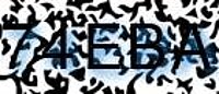 grafischer Sicherheitscode