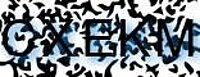 grafischer Sicherheitscode