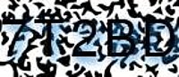 grafischer Sicherheitscode