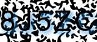 grafischer Sicherheitscode