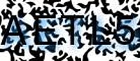 grafischer Sicherheitscode