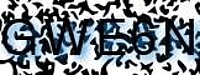 grafischer Sicherheitscode