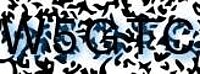 grafischer Sicherheitscode