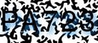 grafischer Sicherheitscode