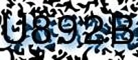 grafischer Sicherheitscode