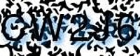 grafischer Sicherheitscode