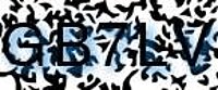grafischer Sicherheitscode