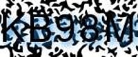 grafischer Sicherheitscode