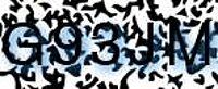 grafischer Sicherheitscode