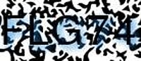 grafischer Sicherheitscode