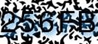 grafischer Sicherheitscode