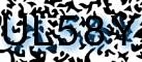 grafischer Sicherheitscode