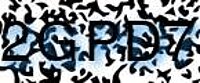 grafischer Sicherheitscode