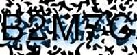 grafischer Sicherheitscode