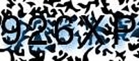 grafischer Sicherheitscode