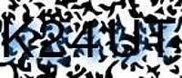 grafischer Sicherheitscode