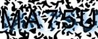 grafischer Sicherheitscode