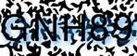 grafischer Sicherheitscode