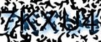 grafischer Sicherheitscode