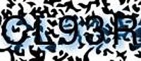 grafischer Sicherheitscode