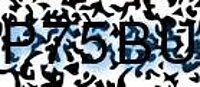 grafischer Sicherheitscode