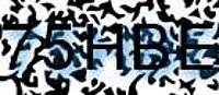 grafischer Sicherheitscode