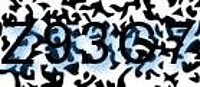 grafischer Sicherheitscode