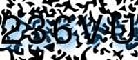 grafischer Sicherheitscode