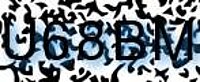 grafischer Sicherheitscode