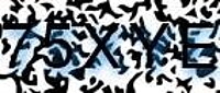 grafischer Sicherheitscode