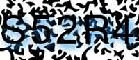 grafischer Sicherheitscode