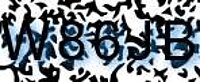 grafischer Sicherheitscode