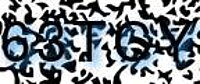 grafischer Sicherheitscode