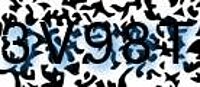 grafischer Sicherheitscode