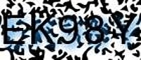 grafischer Sicherheitscode
