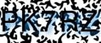 grafischer Sicherheitscode