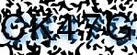 grafischer Sicherheitscode