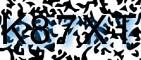 grafischer Sicherheitscode
