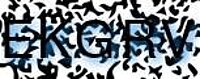 grafischer Sicherheitscode