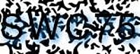 grafischer Sicherheitscode