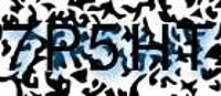 grafischer Sicherheitscode