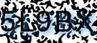 grafischer Sicherheitscode